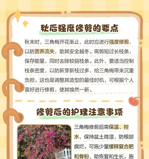 三角梅枝条如何修剪？怎样才能长得更美观？