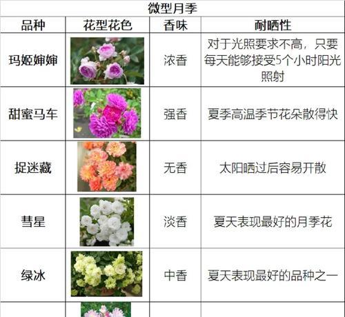 种植的知识和经验有哪些？新手入门指南是什么？