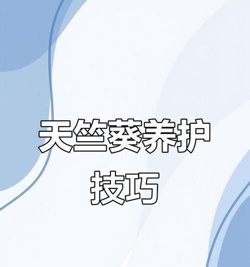 天竺葵上盆技巧是什么？上盆后如何管理？