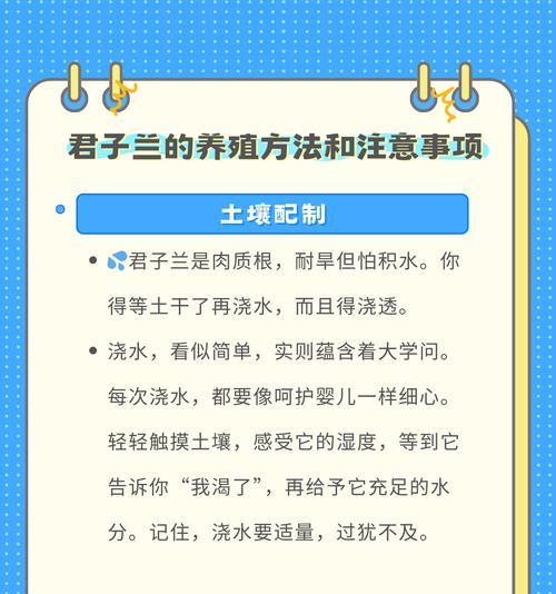 君子兰土木炭的作用是什么？如何正确使用？