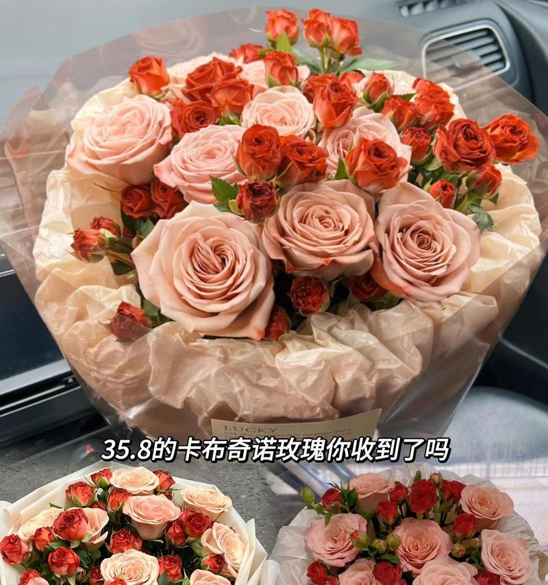 玫瑰象征着什么？它的花语含义能否表达爱情的多样性？
