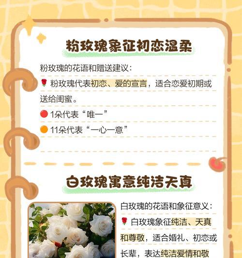 玫瑰象征着什么？它的花语含义能否表达爱情的多样性？
