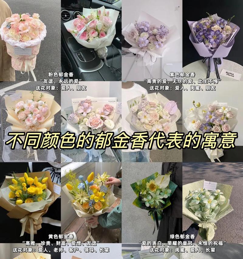 郁金香花语的解释有哪些？代表了什么含义？