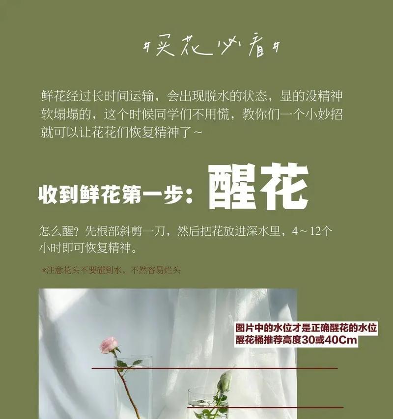 郁金香花语的解释有哪些？代表了什么含义？