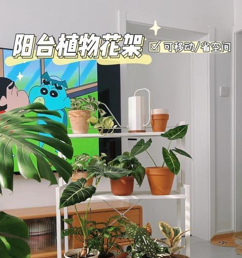 在楼道摆放花有何特殊含义？