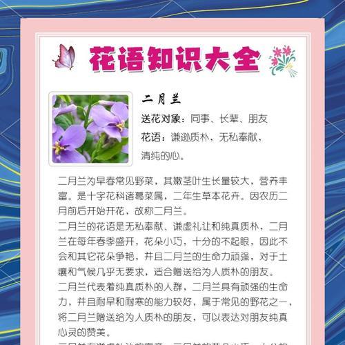 碎兰象征着什么？碎兰的花语和文化含义是什么？