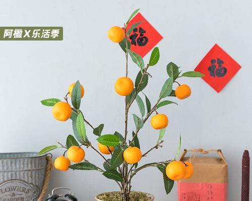 假花橘子树代表什么？它在家居装饰中的意义是什么？