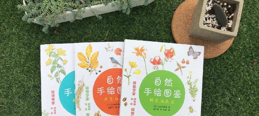 松鼠花的含义是什么意思？探索松鼠花在植物学和文化中的意义