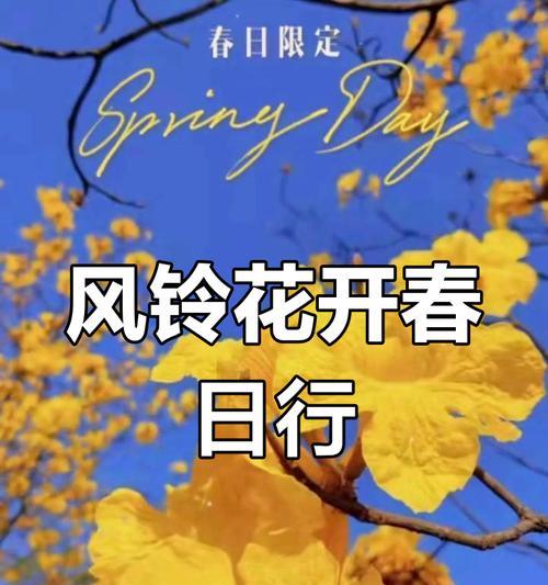 春天的风铃花寓意什么？风铃花在春天的意义是什么？
