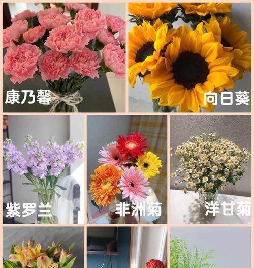 庆祝场合适用花卉有哪些？它们的花语代表什么？