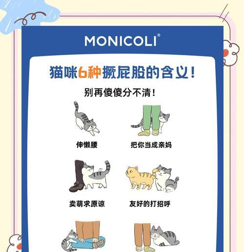 它的具体含义是什么？