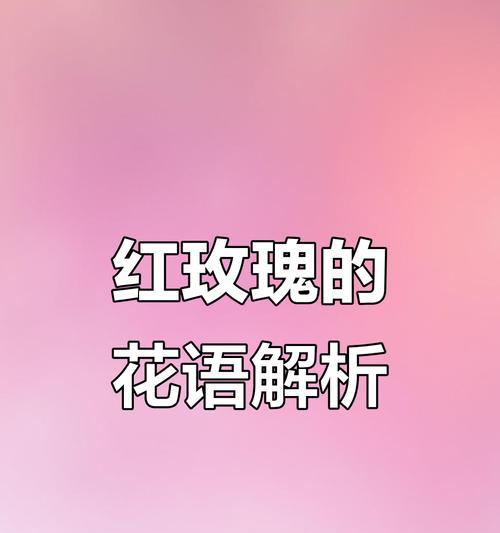 11朵红玫瑰的花语含义是什么？