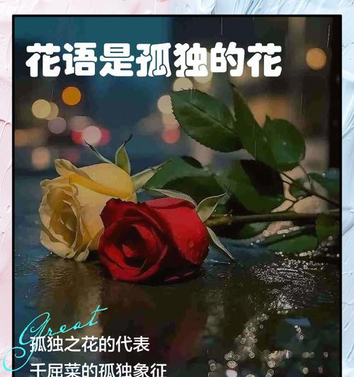 哪些花寓意鼓励及其含义是什么？