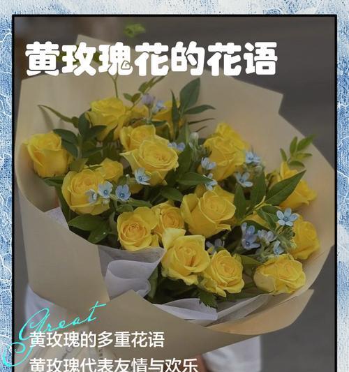 玫瑰代表的花语寓意有哪些？