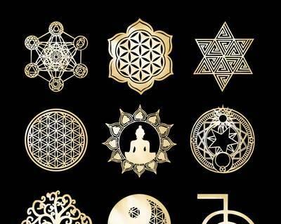 独角兽花语神秘之处在哪里？花作为符号代表了什么意义？