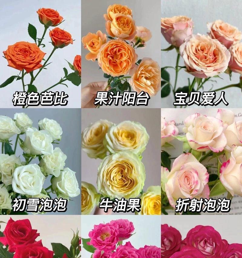 色花的含义是什么？