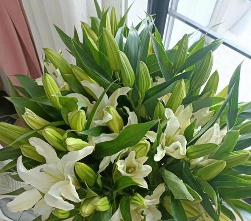 哪种花代表着纯洁和无瑕的品质？