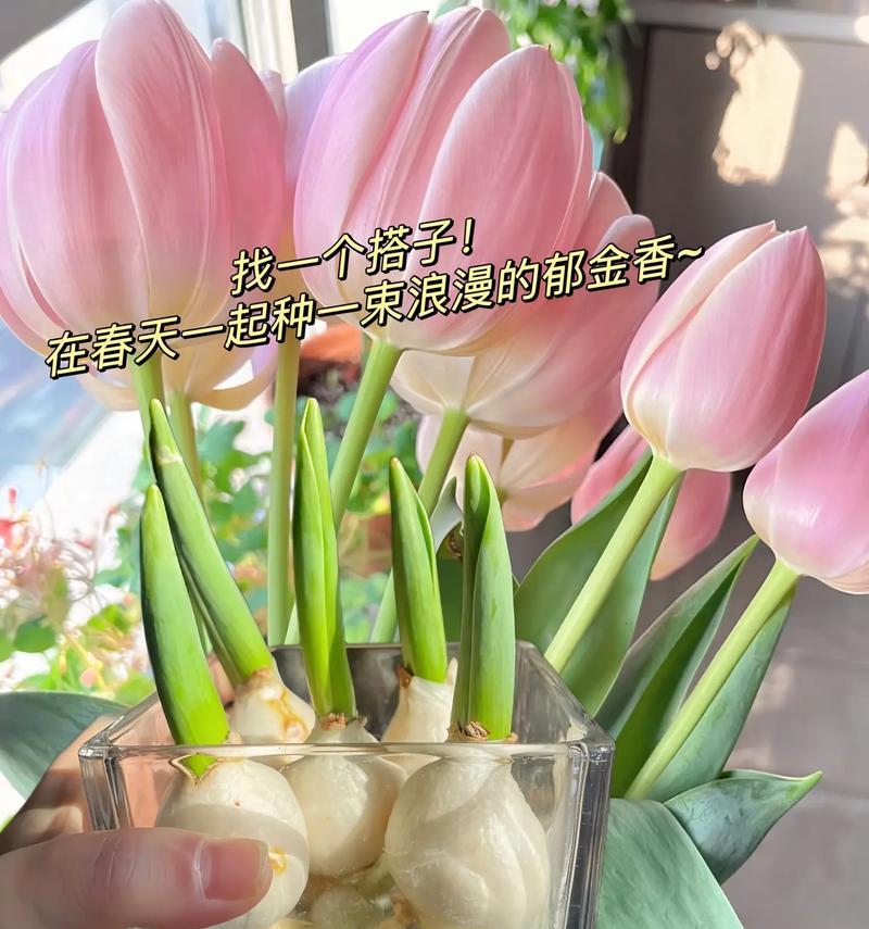 花的量词含义是什么？一朵花与一束花的象征意义有何区别？