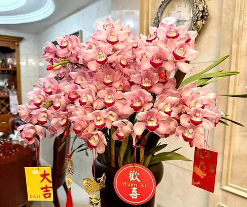 新年期间寓意好的花有哪些？如何选择寓意吉祥的花卉？