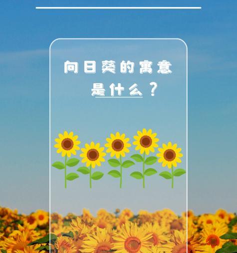 成功的花冰心寓意是什么？冰心花象征着什么？