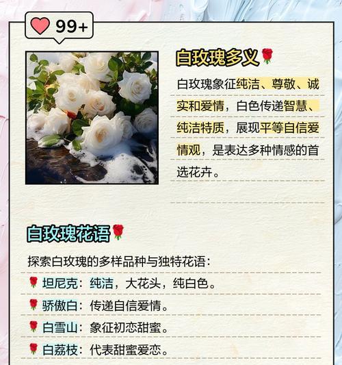 花语句子是什么？如何通过花语表达情感？