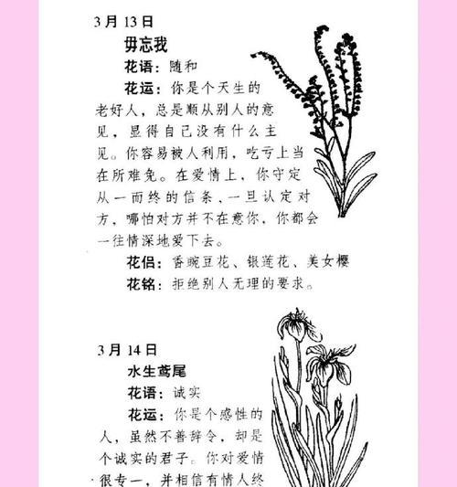 花语句子是什么？如何通过花语表达情感？