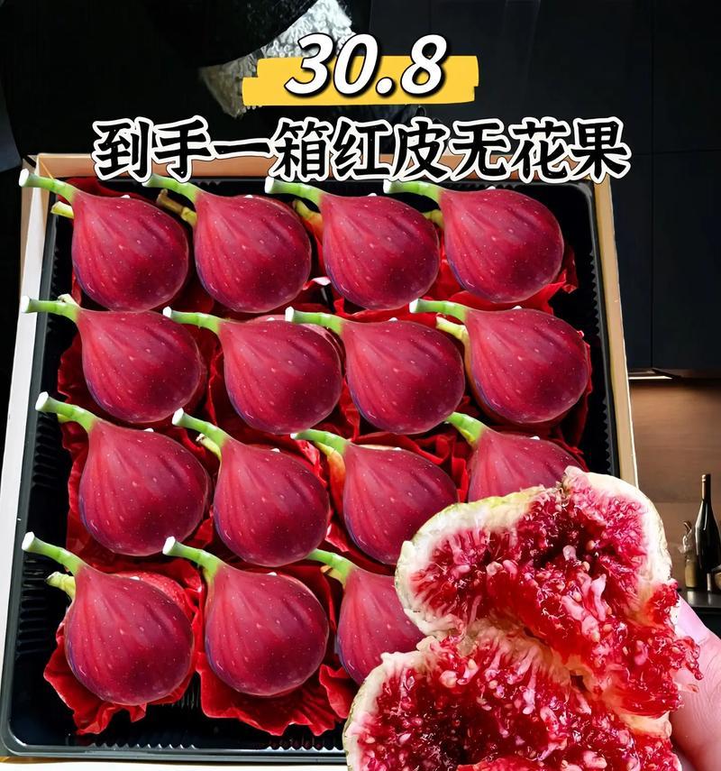 无花果的花有什么含义？自然界中无花果的角色是什么？