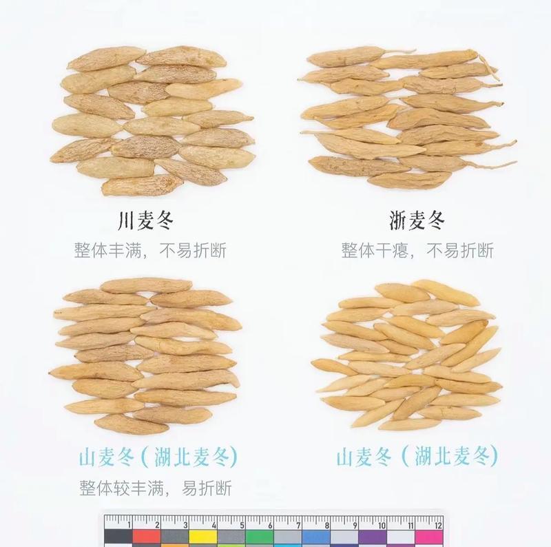 麦冬花语是什么？传统中麦冬花的象征意义是什么？