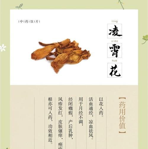 花的双重含义是什么？花语大全