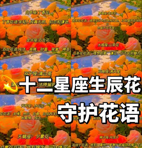 花的双重含义是什么？花语大全