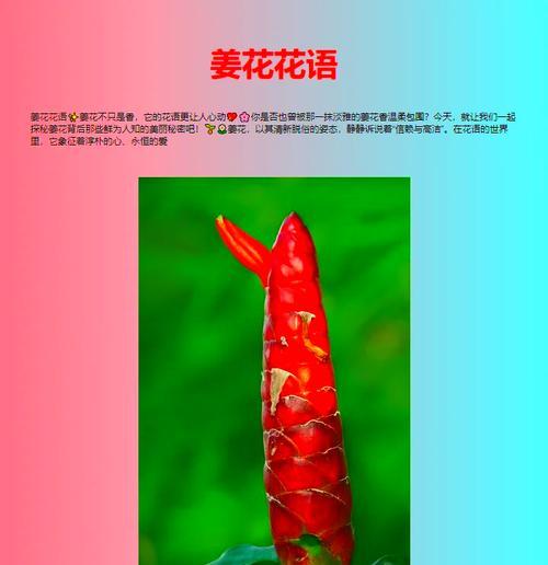 姜花象征着什么？