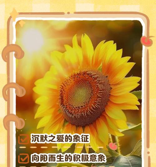 哪种花象征发财及其花语是什么？