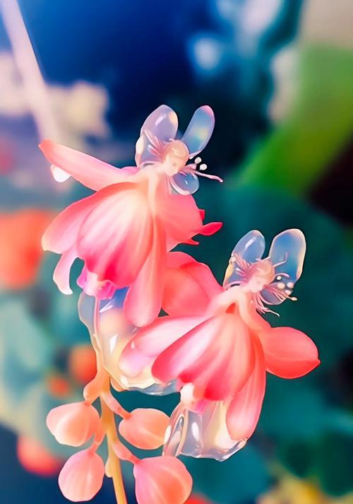 奇特的花含义是什么意思？罕见花卉的特殊象征意义是什么？
