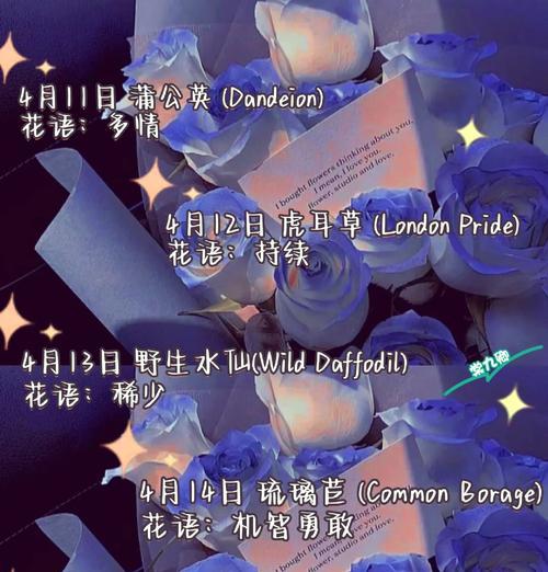 雪椿花的花语和象征意义是什么？