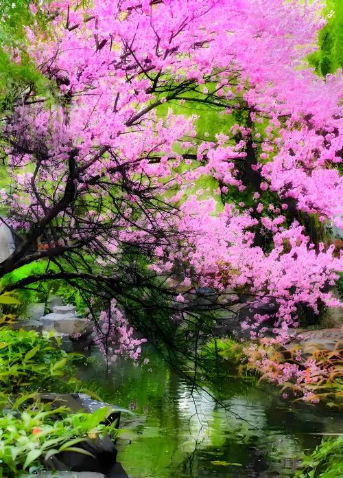 往昔花的含义是什么？往昔花在花语中代表什么？