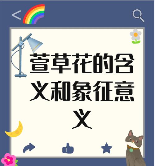 花的别名与象征意义如何识别？