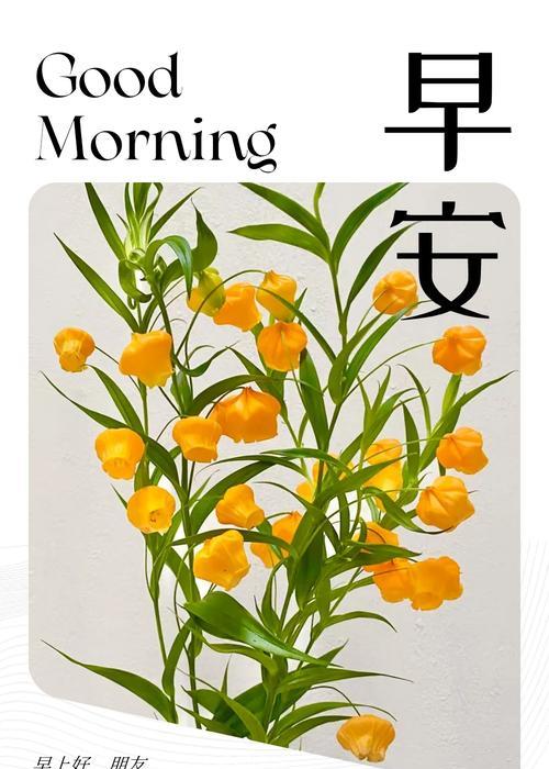春晚花卉象征意义是什么？春晚中寓意的花有哪些？