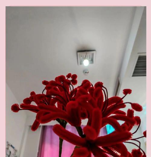 表达思念的花有哪些？它们各自代表什么意义？