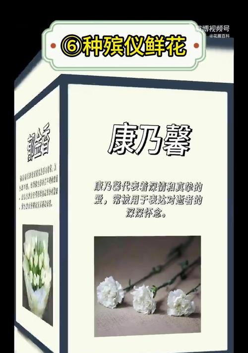 献哀花代表什么意义？献哀花在悼念中扮演了什么角色？