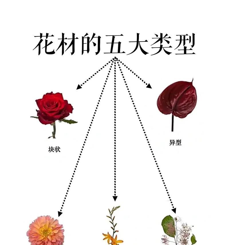 每种花象征着什么？每种花的含义是什么？