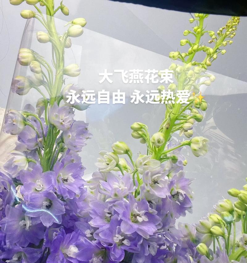 祥瑞桃木象征的花有哪些？桃木花的花语是什么？