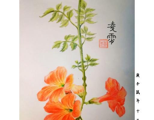 掌心中的花朵代表了什么？