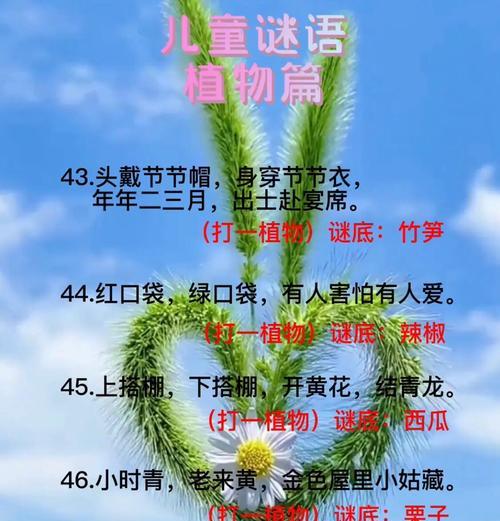 花谜语通常代表什么？花语中花谜语的含义是什么？