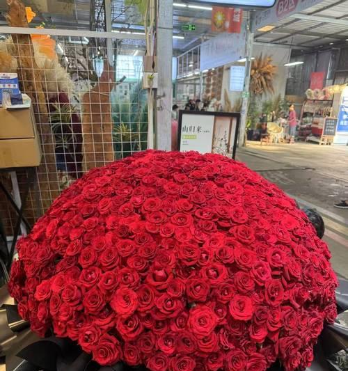回来的象征花有哪些？哪些花卉象征着归来与团聚？
