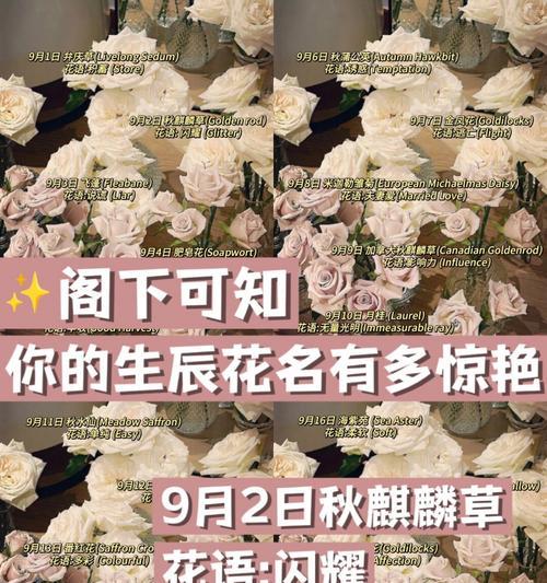 寓意好运的花名有哪些？如何选择？
