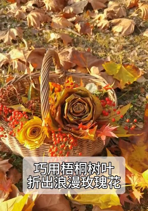 折什么花代表浪漫？折花的浪漫含义是什么？