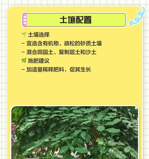 它们象征着什么？富贵灌木的花象征全解析！