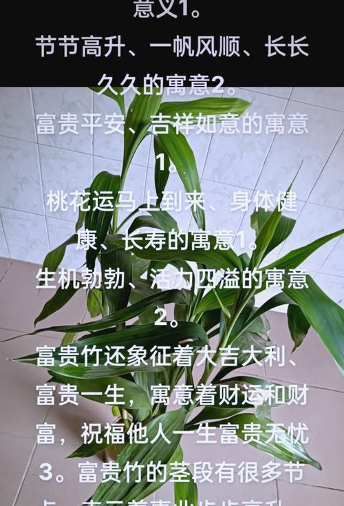 它们象征着什么？富贵灌木的花象征全解析！