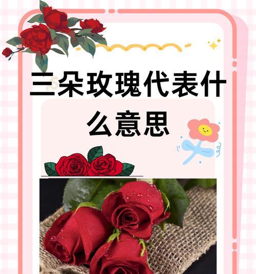 表达歉意的花卉有哪些？对不起的花语是什么？