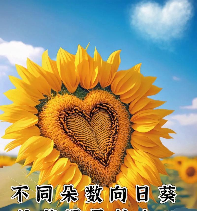 表达歉意的花卉有哪些？对不起的花语是什么？